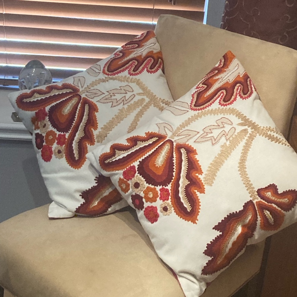 Luxury pillows from Pier One   Never used.